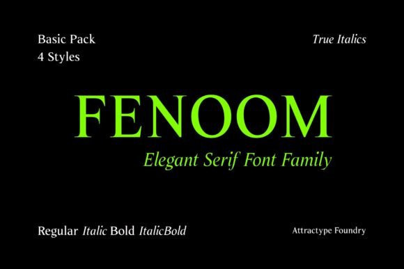Fenoom Serif: A Designer’s Honest Review for Real Projects