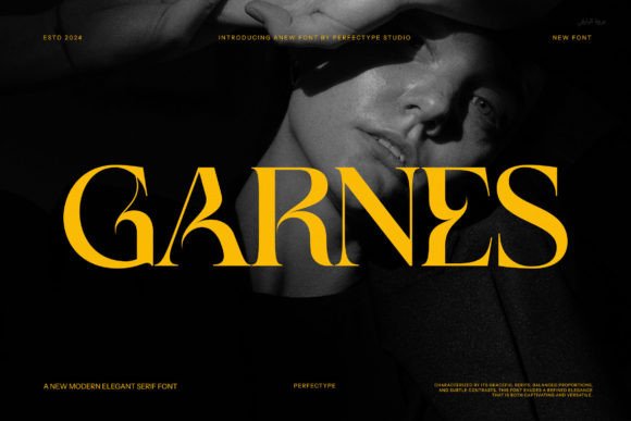 Garnes: The Elegant Serif Typeface for Handmade Branding