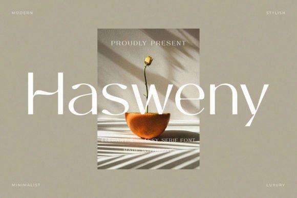 Hasweny: A Designer’s Real-World Review
