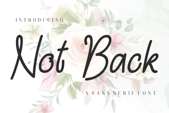 Not Back Typeface: A Polished Sans Serif for Modern Brand Identity