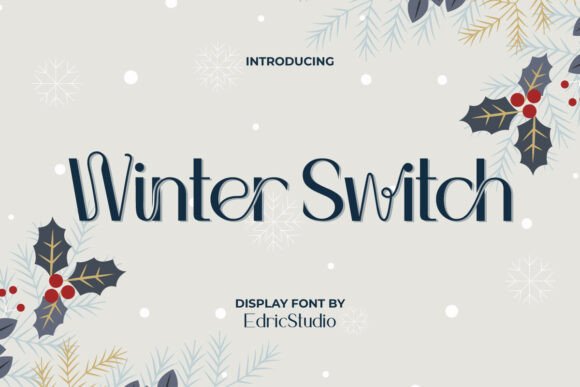 Winter Switch Typeface Review for Small Business Branding